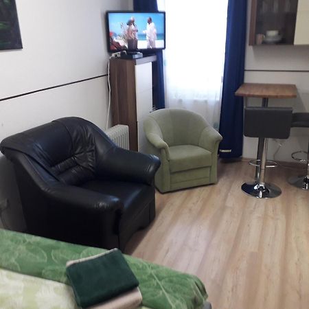 Apartment Ap 1 Im Zentrum Steyr, Bestrooms Eu エクステリア 写真