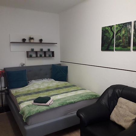 Apartment Ap 1 Im Zentrum Steyr, Bestrooms Eu エクステリア 写真