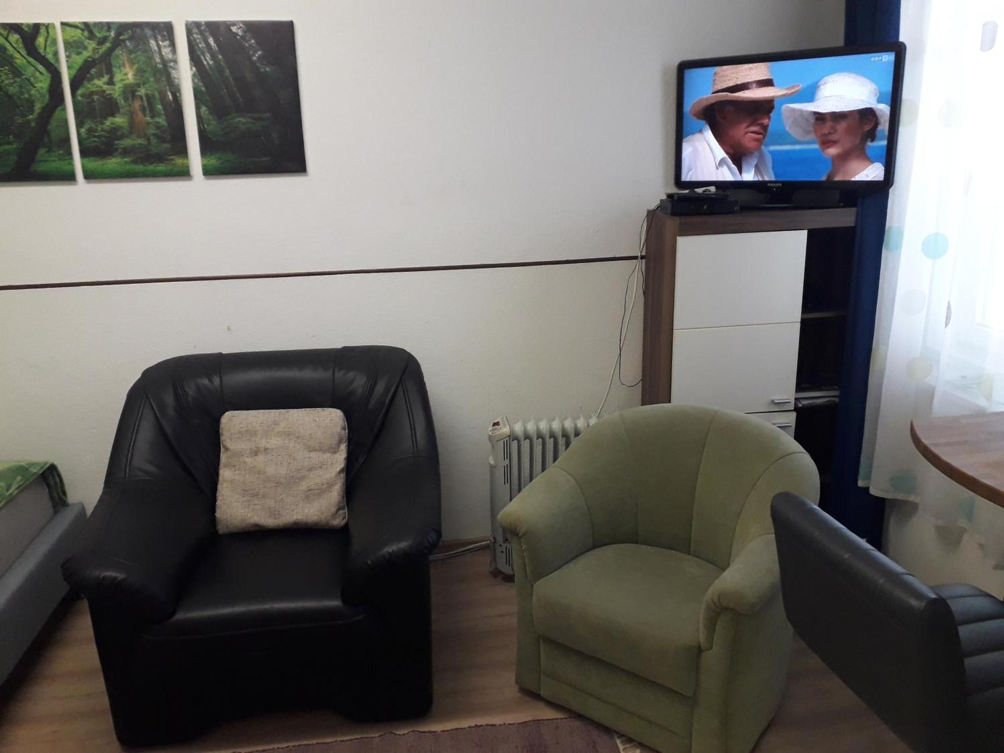 Apartment Ap 1 Im Zentrum Steyr, Bestrooms Eu エクステリア 写真