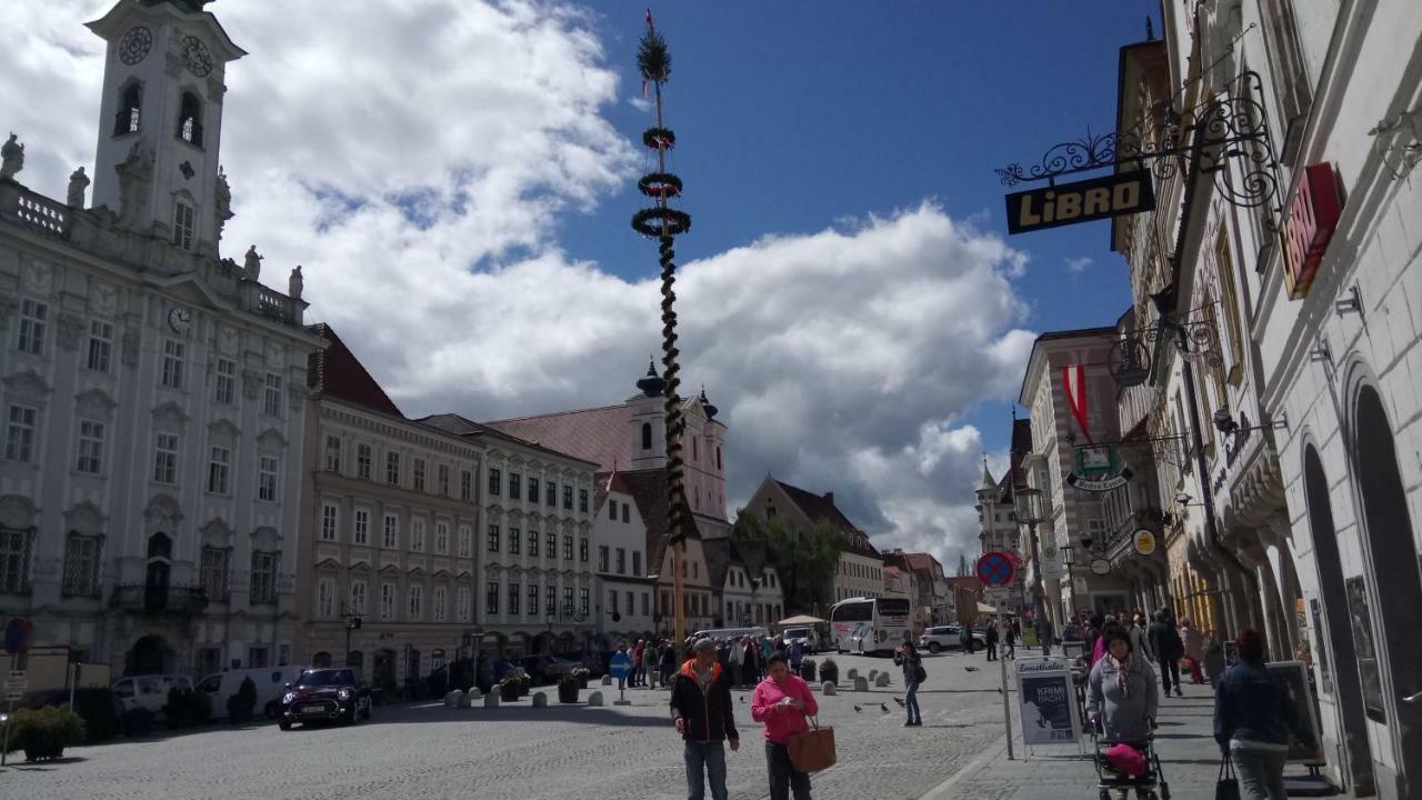 Apartment Ap 1 Im Zentrum Steyr, Bestrooms Eu エクステリア 写真